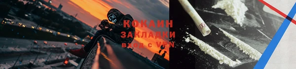 крисы Осинники