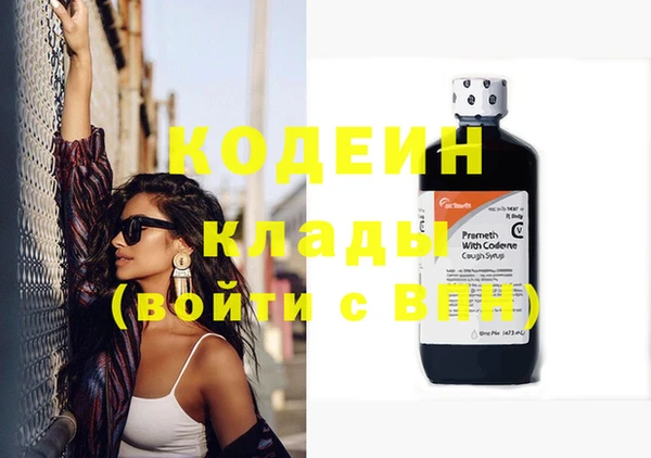 крисы Осинники