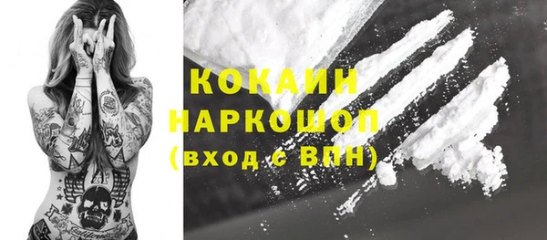 крисы Осинники